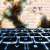 Google API Keys Still Work After Deletion